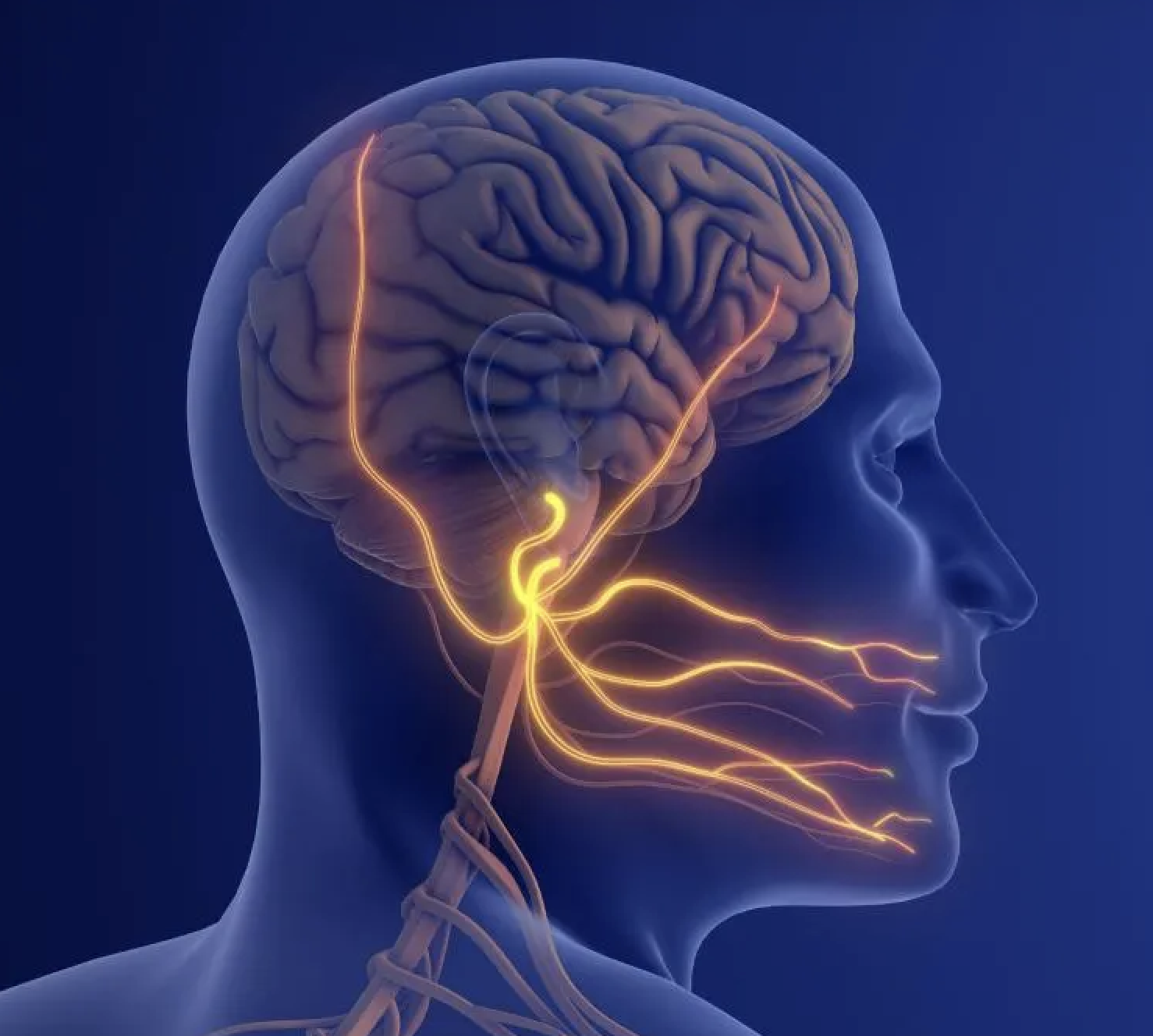 Neuralgia del trigémino en Barcelona